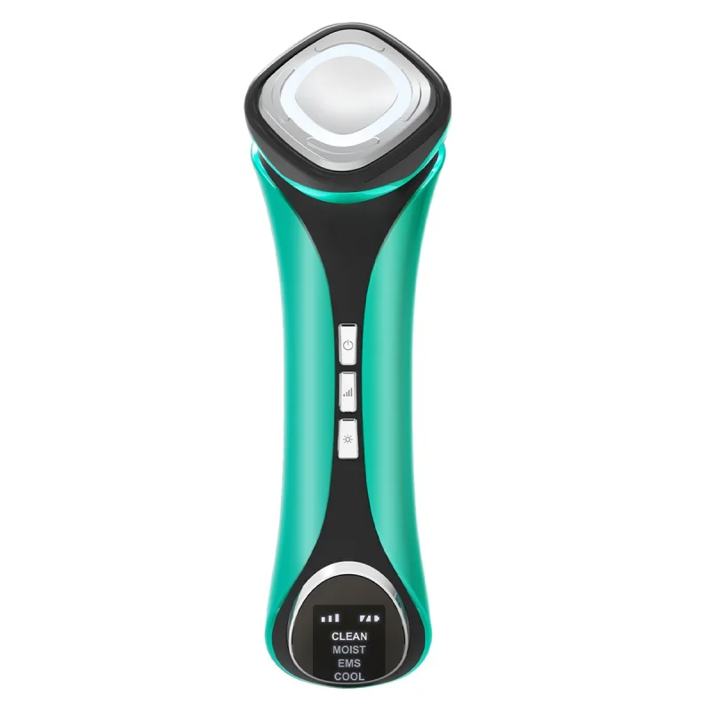 EMS LED Skin Care Device, Face Emagrecimento, Remoção de Rugas, Quente e Frio, Preto, Beleza, Novo, 2024