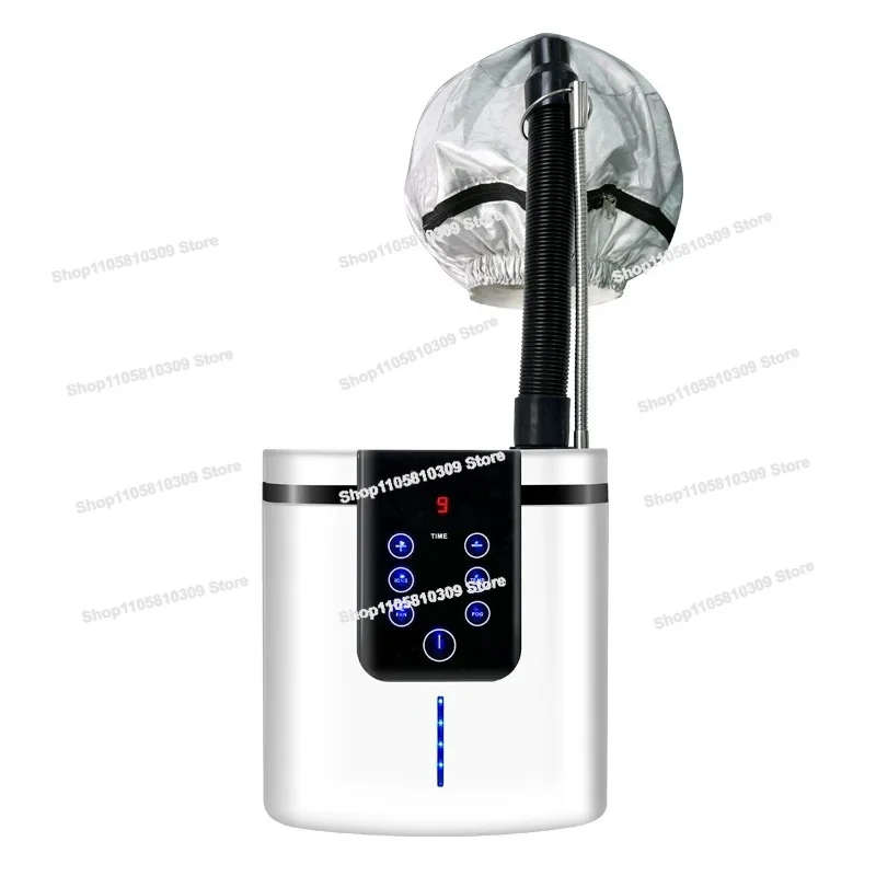 Multifunctional, Mini Spray Machine Hair Oil Baker, Care Machine Negative Ion Hair Care, Nano Biochemical Meter