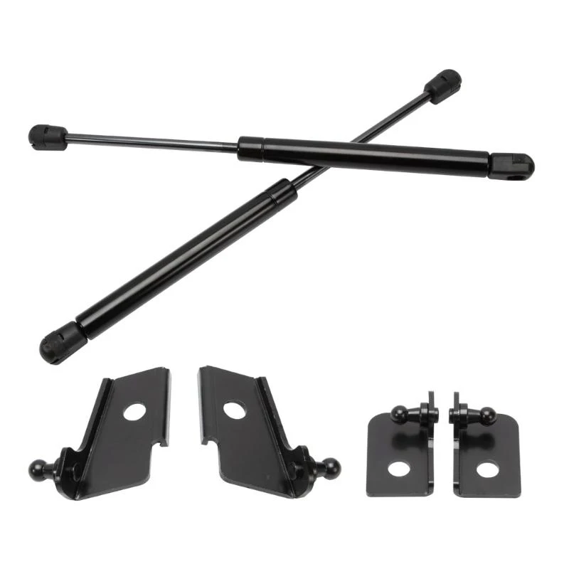 

Replacement Hood Struts Lift Supports Gas Spring Shocks Damper Auto Accessories for NQ5 2022-2023 Repair Part R6FB
