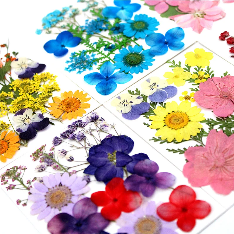 Pressed Flower material bag dried flowers embossed small flower field combination flower-pressing material bag leaf stickers