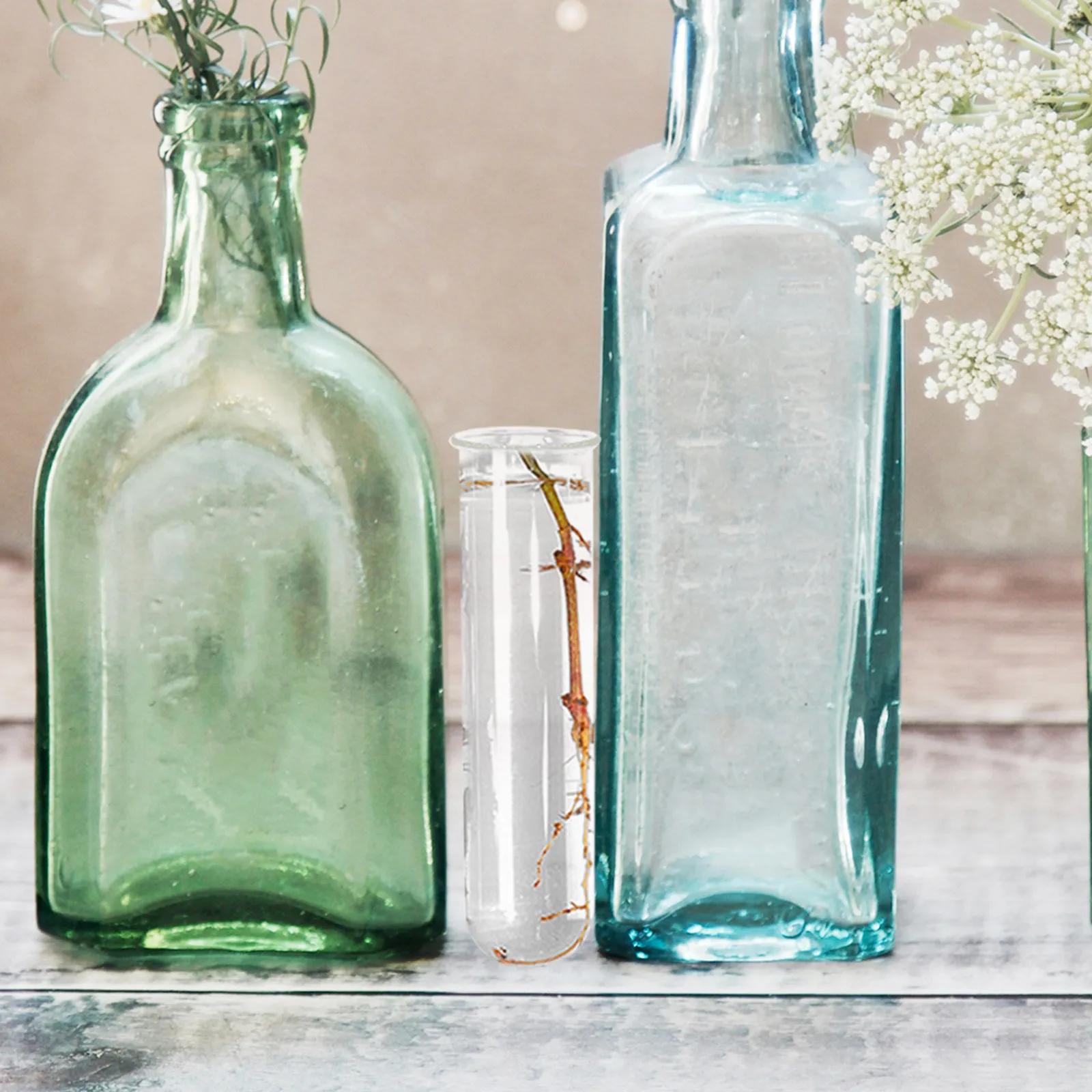 4Pcs Clear Glass Test Tube Vase Hydroponic Flower Case Propagation Tubes Terrarium Planter Transparent Desk Decor Container