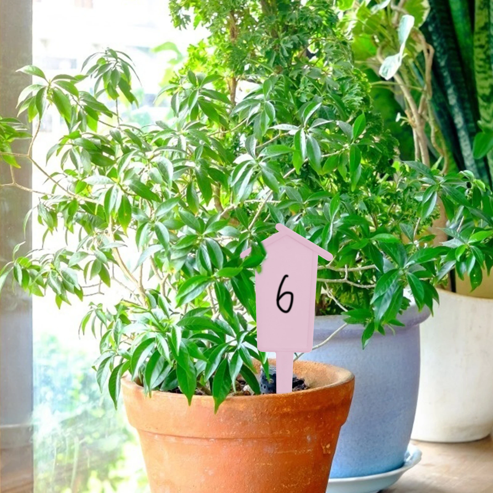 

60Pcs Plant Labels High-Quality Plastic Environmental Protection Simple Storage Flower Markers Gardening Tags Outdoor Plants
