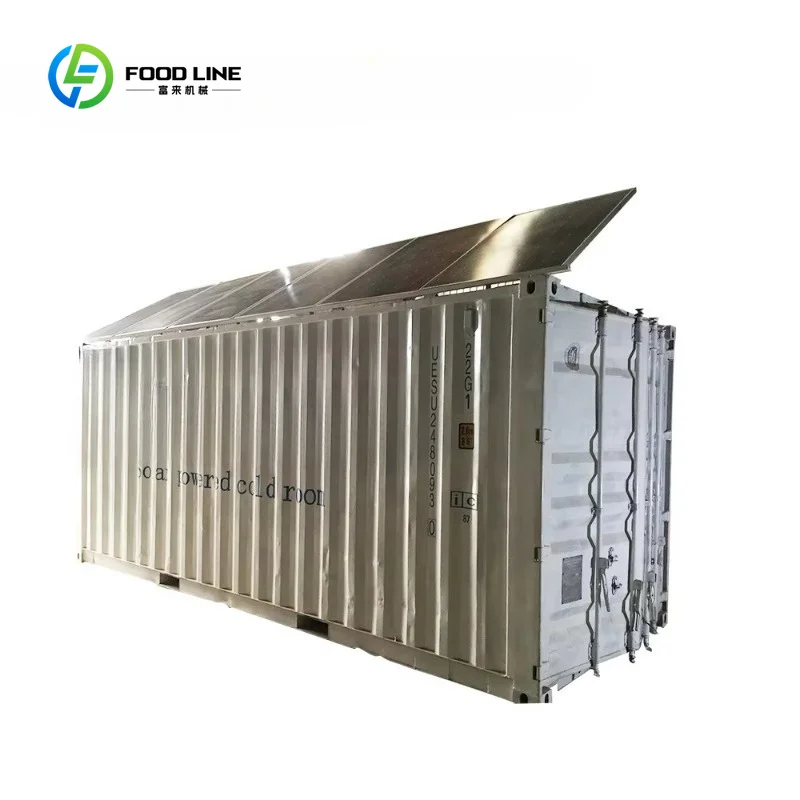 Customized 20Ft Solar Power System Available Fresh Cold Storage Room or Deep Freezer Solar Cold Room Price