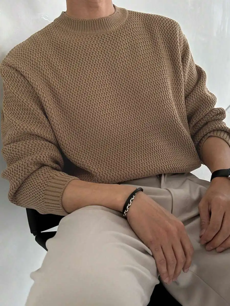 

Men's Beige Textured Crew Neck Long Sleeve Sweater for Autumn Casual Wear
