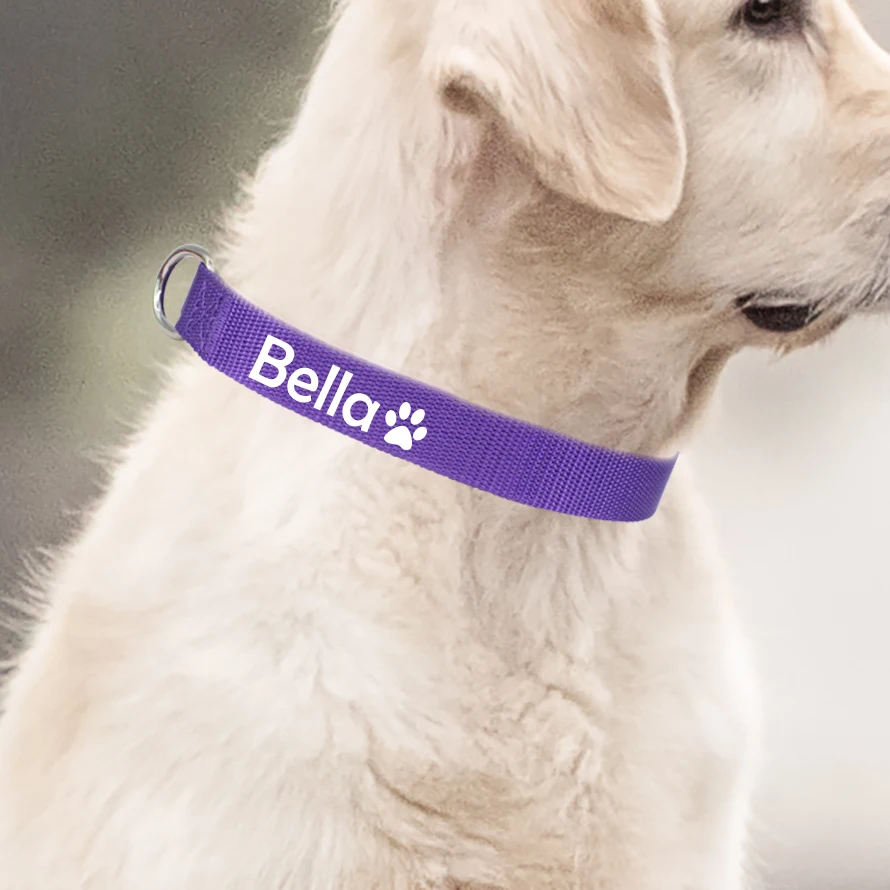 Custom Dog Collar Pet Personalized ID Collar Name and Phone Number with Cute pattern Nylon Necklace Small Medium Large Acessory