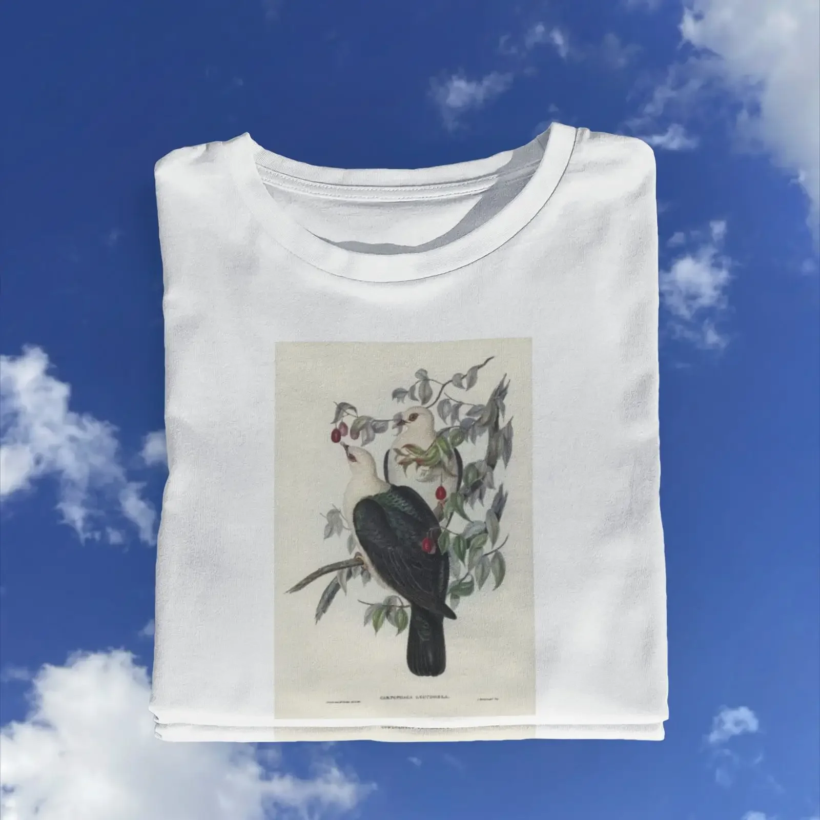 Pigeon Drawing T Shirt Vintage Bird Adolphe Millot Print vintage Washed Breathable Soft Stylish designer clothes Versatile