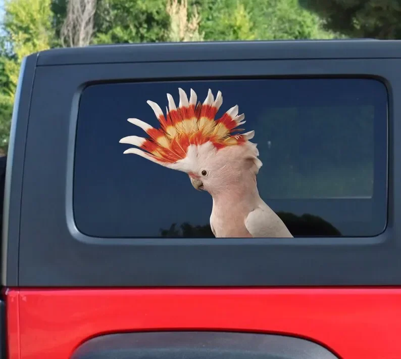 Major Mitchell Cockatoo sticker, car sticker, Major Mitchell Cockatoo car decal, cockatoo sticker