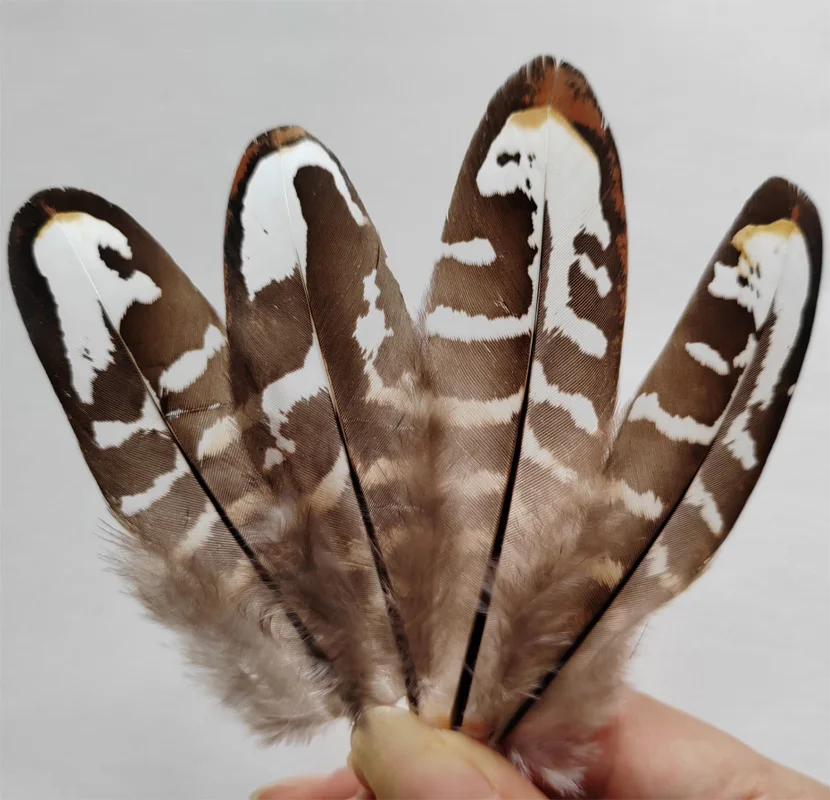 

100Pcs/Lot 7-11cm Nature REEVES VENERY PHEASANT SMALL WINGS,QUILL FEATHERS For Jewelry Making