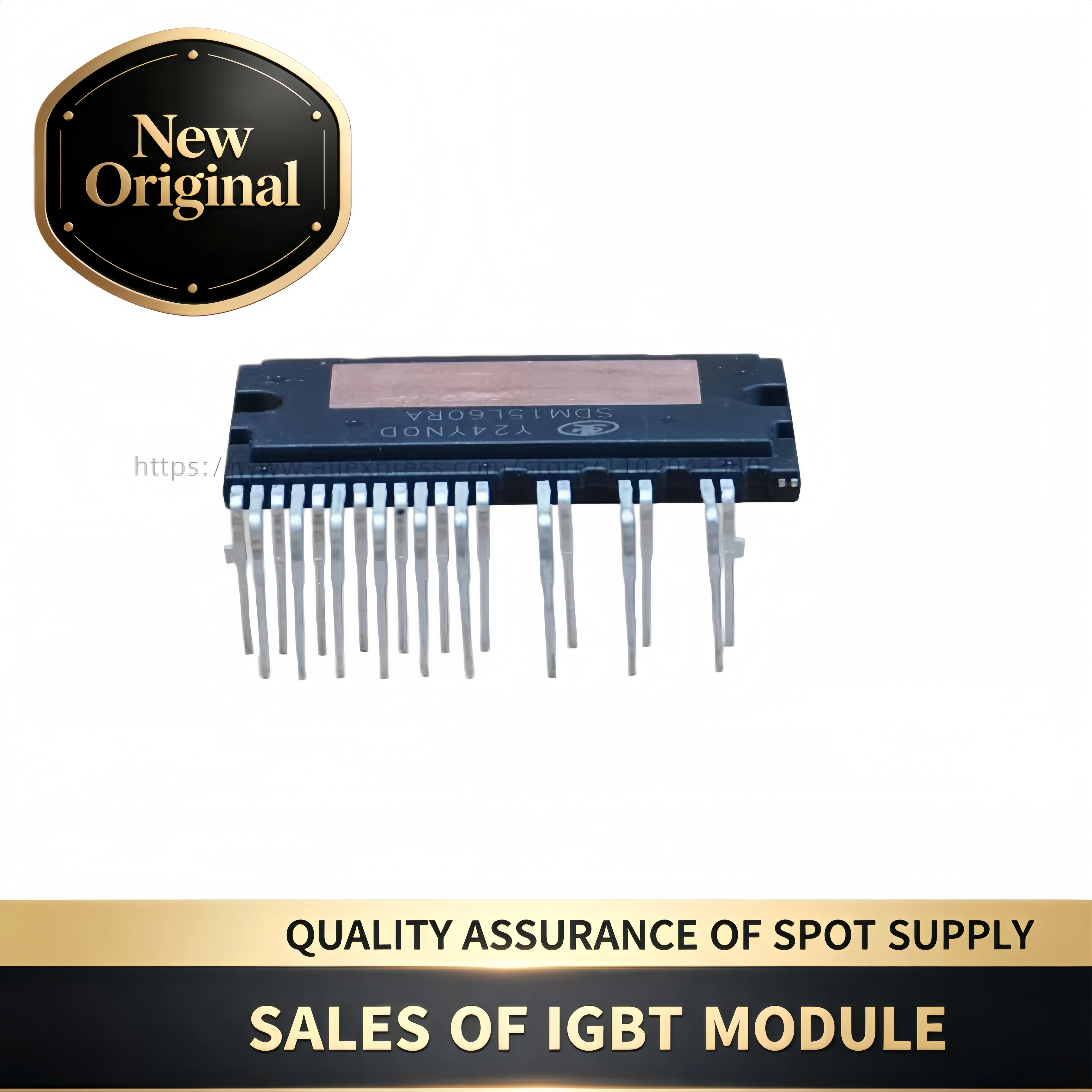 SDM15L60FA  SDM15L60RD  SDM15L60RA  IGBTModule