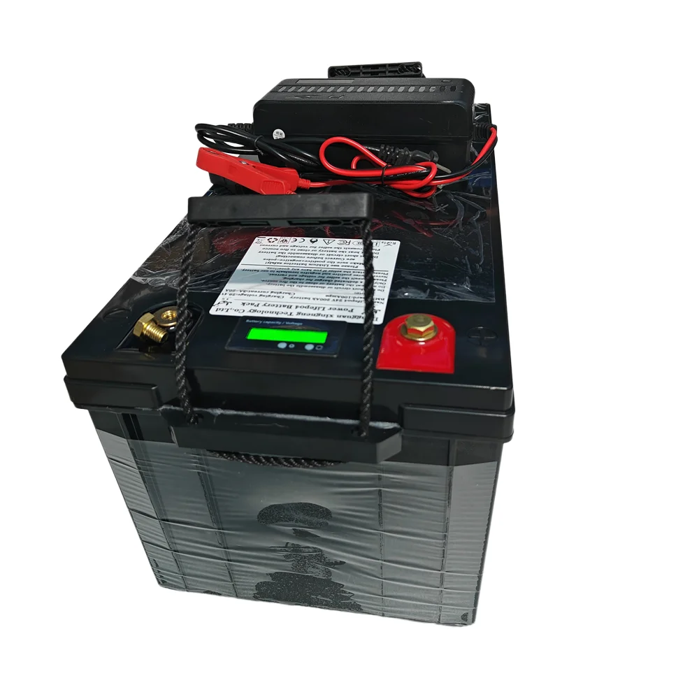 48V 50Ah 100Ah 150Ah 200Ah 300Ah Lifepo4 Lithium Battery pack bluetooth Parellel for Solar system 3000W 5000W 6000W Inverter