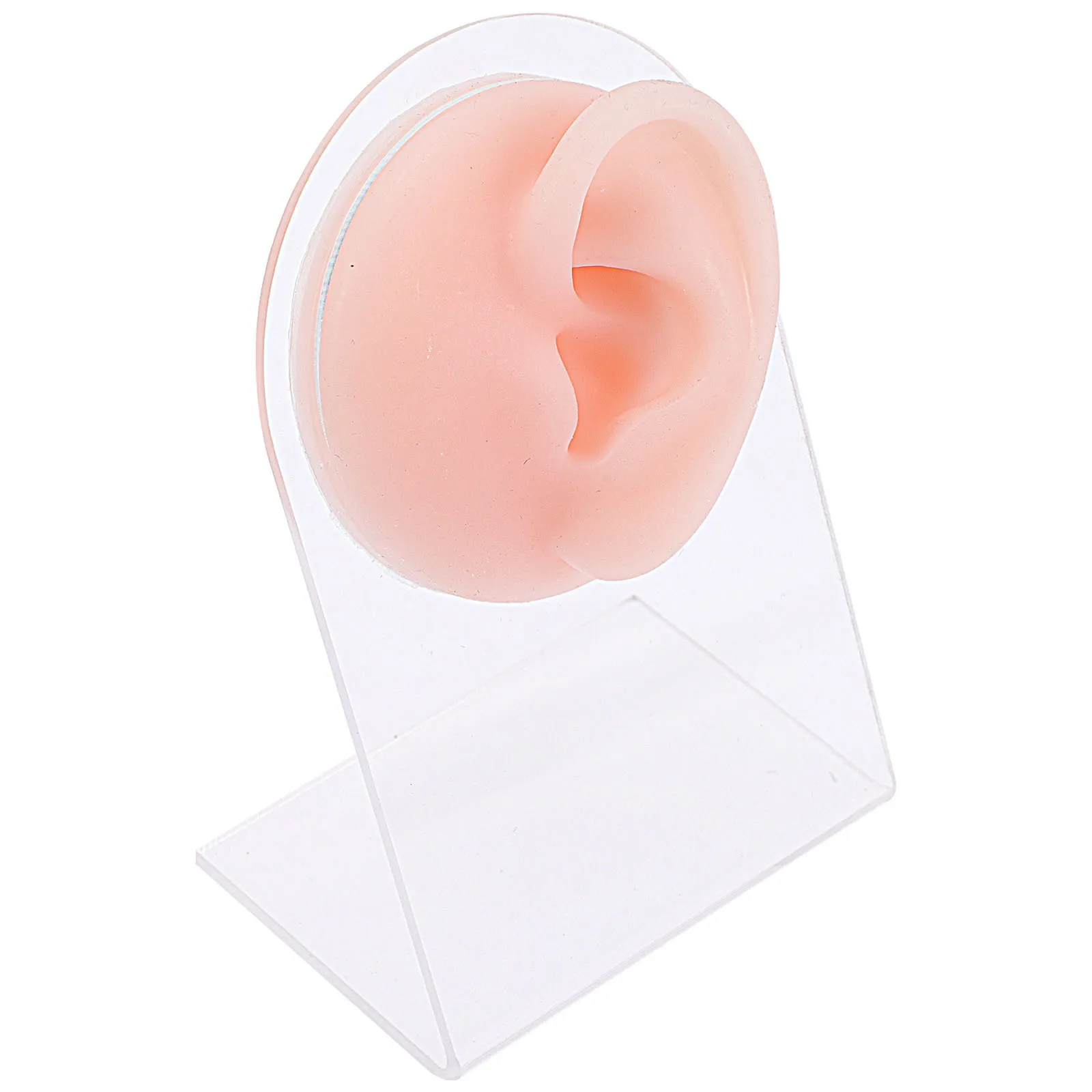 

Silicone Ear For Piercing Practice Display Tool Jewelry Stand Acrylic Base Included Realistic Texture Hospital Spa Clinic Use