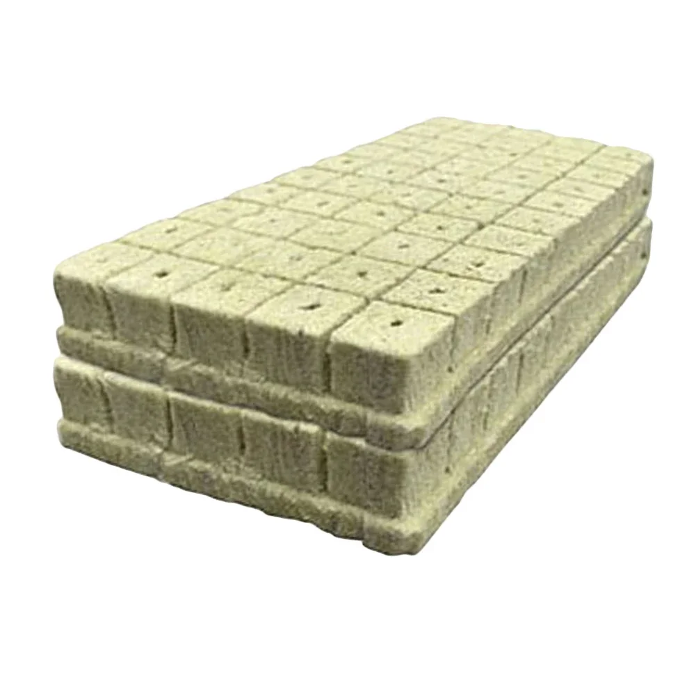 

100 шт., кубики для посадки из камня, многофункциональные гидропоники, блок для выращивания рассады семян, сильное водопоглощение для размножения растений