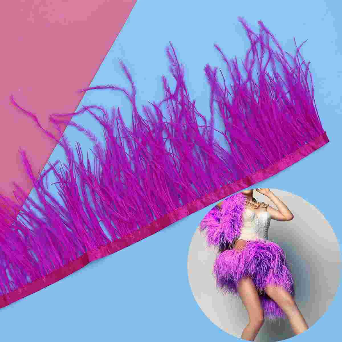 

2 M Home DIY Ostrich Clothing Accessories Decoration Feathered Fringe Costume Trims