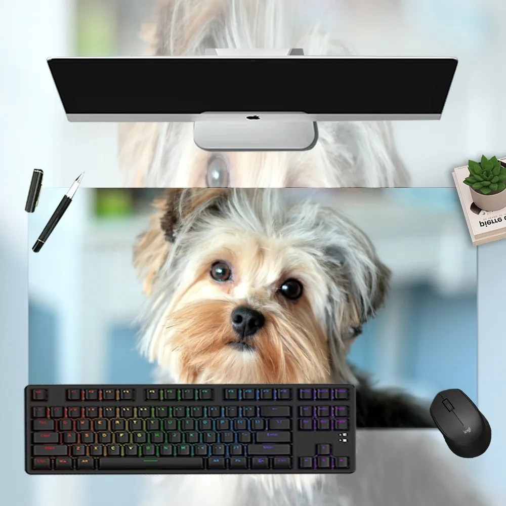 Cute Mini Yorkshire Terrier Girl Pad Unique Desktop Pad Game Mousepad Size For Large Edge Locking Game Keyboard Pad