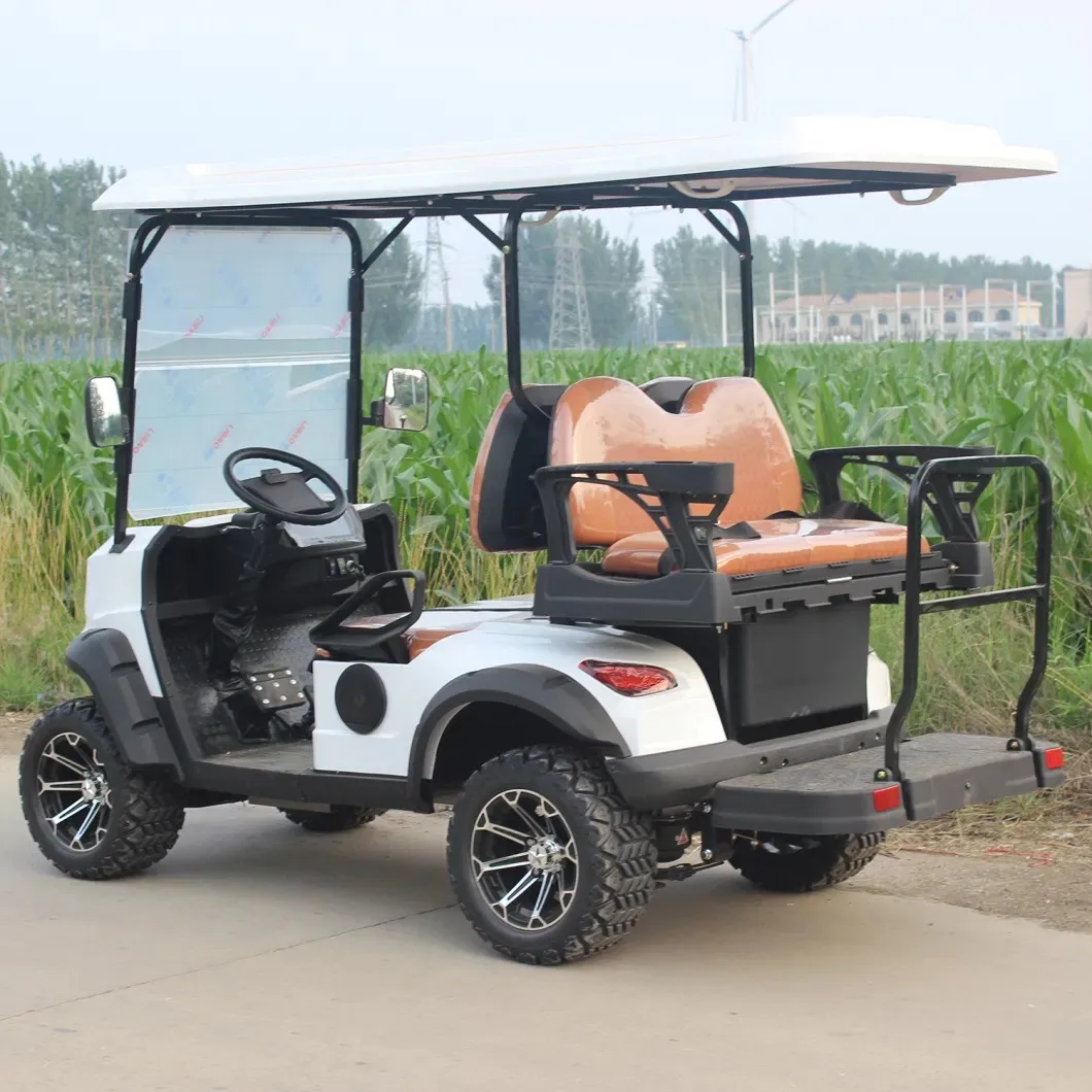 Dylante Off Road Hunting Style Battery Powered 4+2 6 Seater Golf Cart 48V 72v Electric Golf Buggy with Charger 110V 220V