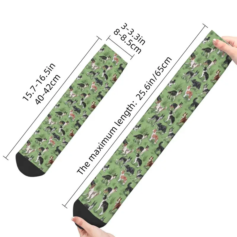 Collie – chaussettes Kawaii à imprimé Kawaii pour hommes et femmes, extensibles, pour l'été, l'automne et l'hiver, pour animaux de compagnie