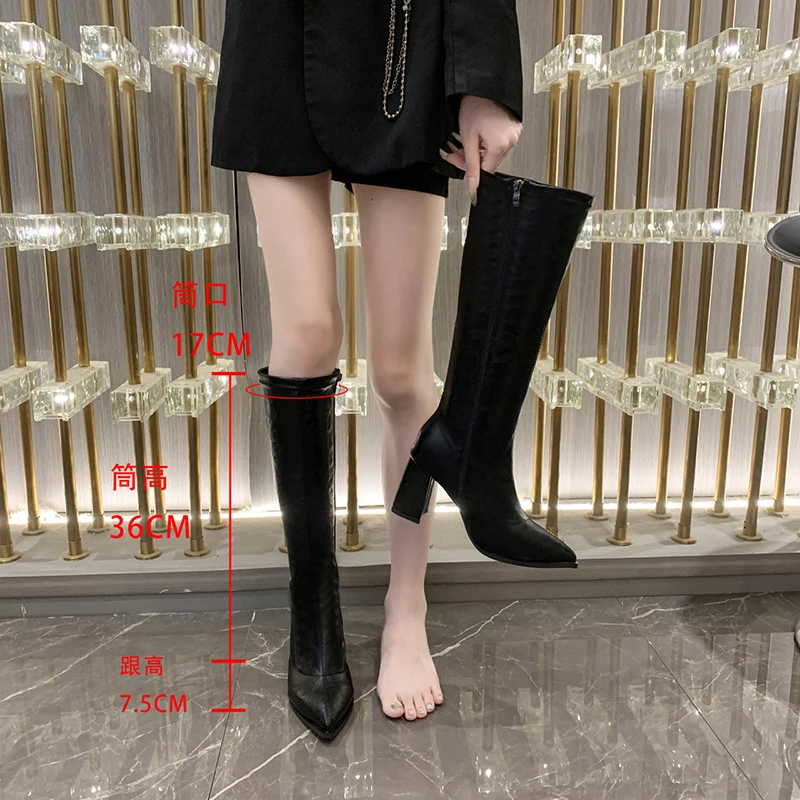Women Shoes 2025 Autumn Winter Knee High Boots Fashion Knight Long Boots for Women Square High Heels Shoes for Women Botas Mujer