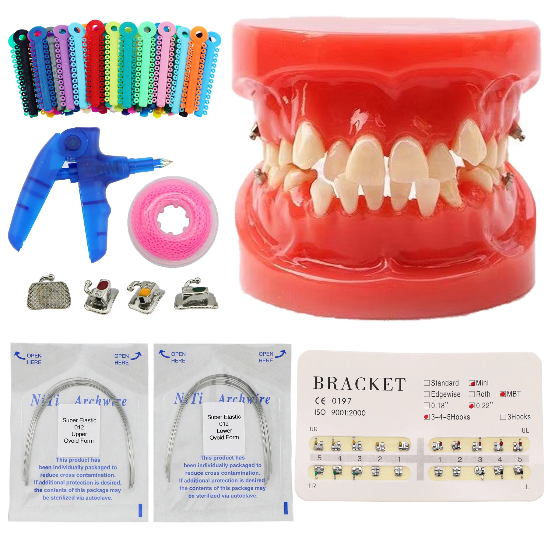 Dental Typodont Teeth Model 1:1 Practice Bracket Orthodontic Ligature Ties,Wires,Tubes for Dental Students,Orthodontist Teacing