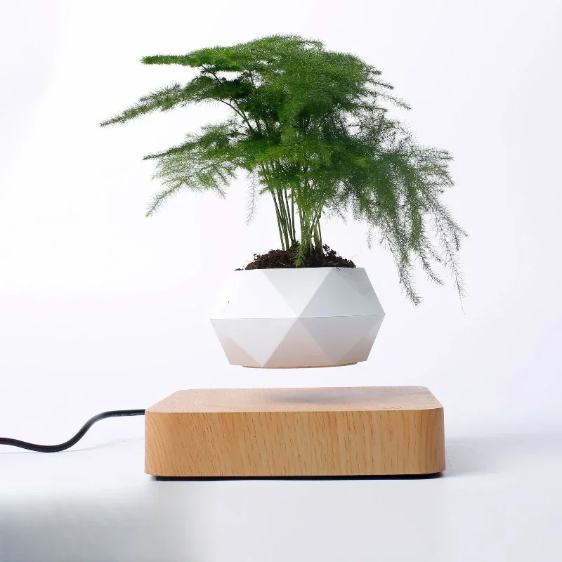 

Living room home ornaments Internet celebrities creative crafts plants Bonsai wholesale Maglev potted plants flowerpots green p