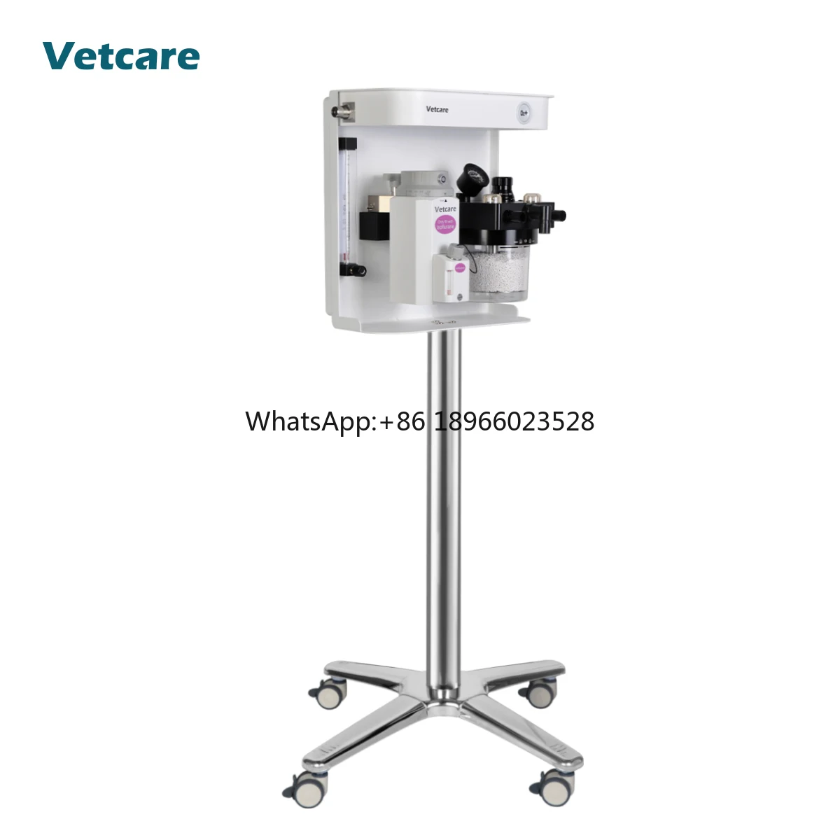 Top quality machine concealed that creating comfortable operating space for Veterinary Anesthesia