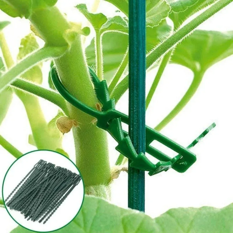 50-500pcs Adjustable Plastic Plant Cable Ties Reusable Cable Ties for Garden Tree Climbing Support Plant Vine Tomato Stem Clip