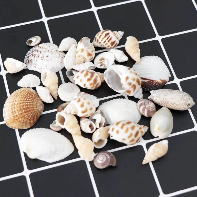 Mix Style Natural Shell Conch Aquarium Landscape Tiny Sea Shell Beach Decor Fish Tank Supplies Party DIY Crafts 1 BOX