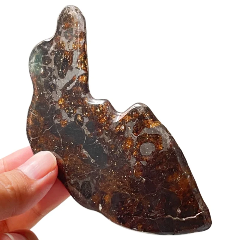 Premium Sericho Pallasite Meteorite Slice Rare Space Stone with Sparkling Olivine  for Collection & Enthusiasts QA859