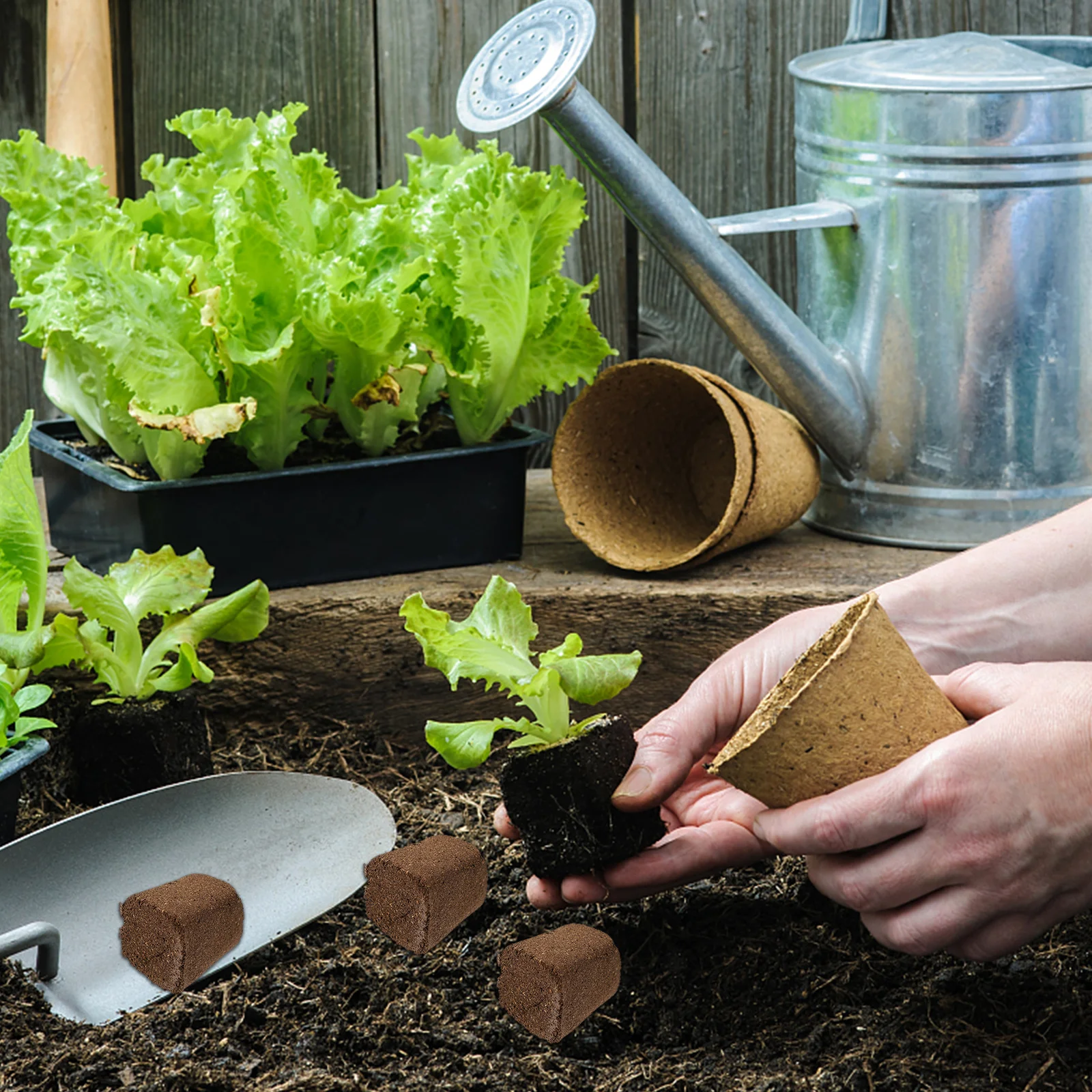 

10Pcs Seedlings Block Nursery Peat Cultivation Block Easy Transplant Nutrient Soil for Home Planting Garden Fertilizer