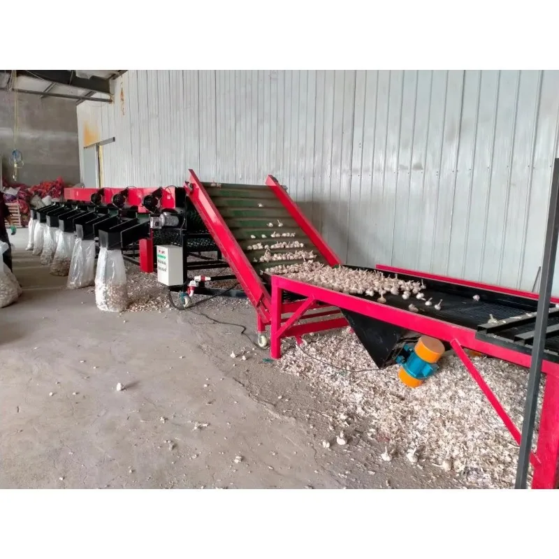 Hot Selling Cheap Automatic Garlic Sorting Grading Machine Reliable Versatile Garlic Vegetable Sorting Machine Customized