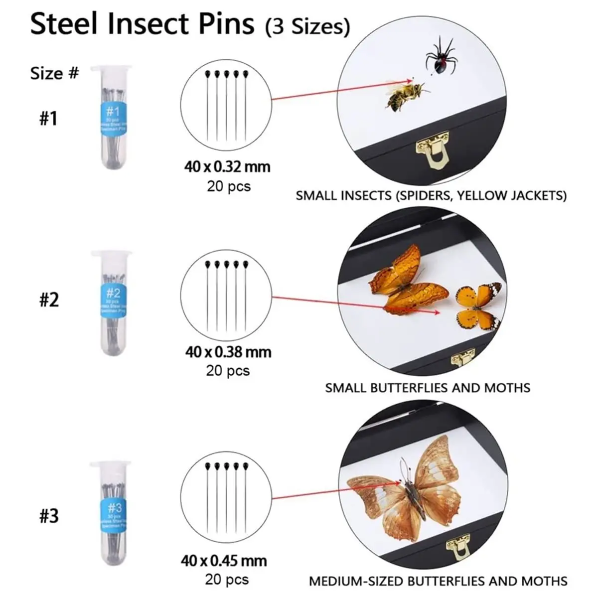 Insect Display Case Bug Display Case Shadow Box Wall Mount, Anti Fade UV Protection Acrylic Top, Eva Foam Pinning Board