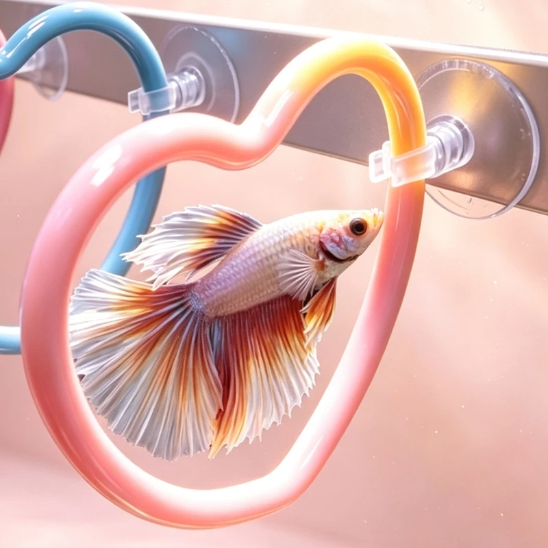 Betta Fish Training Hoop Set, 6 Piece Swim Through Accessory with Suction Cup Mounts and Assorted Plastic Display Units for B03E