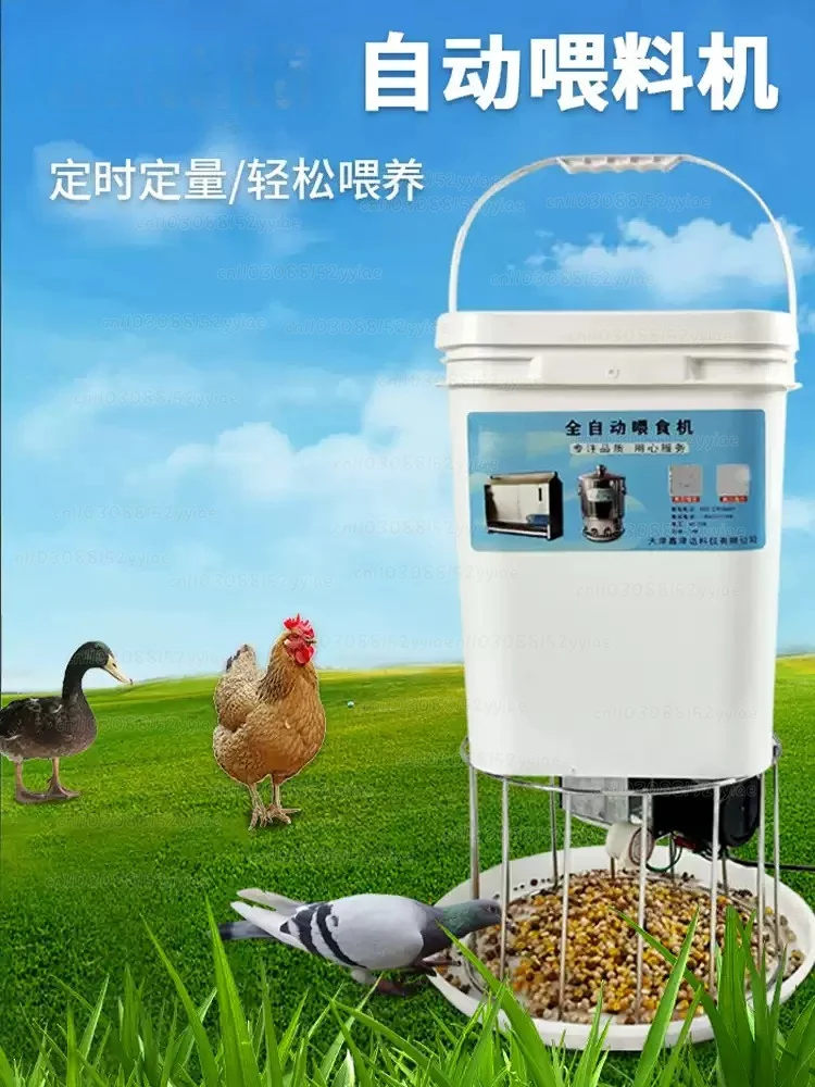 

Fully Automatic Chicken-raising Machine with Intelligent Automatic Timing for Pigeon Cages