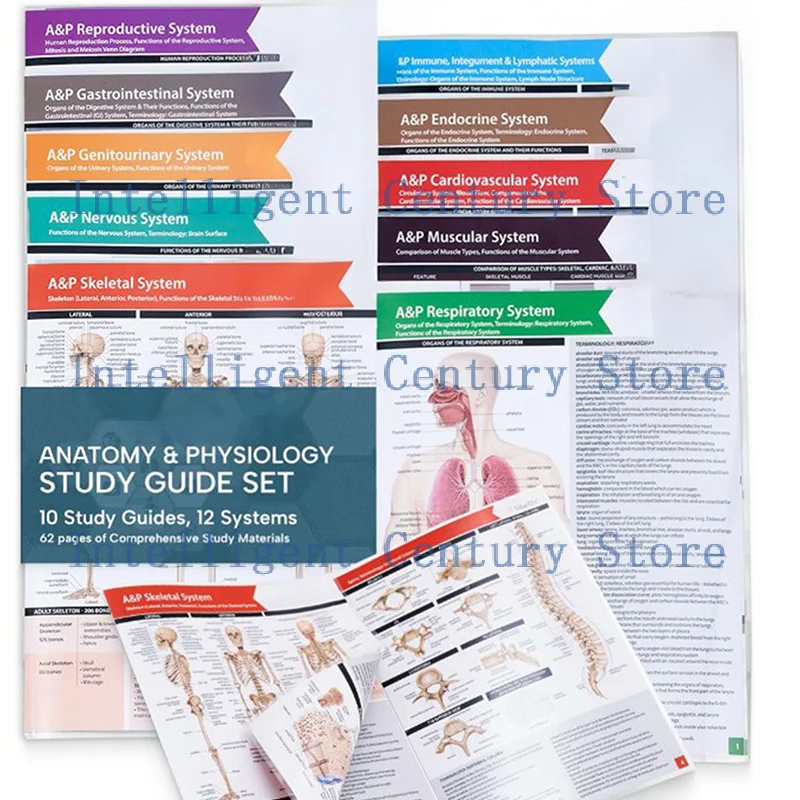 

(HBA12)Anatomy & Physiology Study Guides - Set Of 10 Human Anatomy Guides For Nursing Students Medical Professions