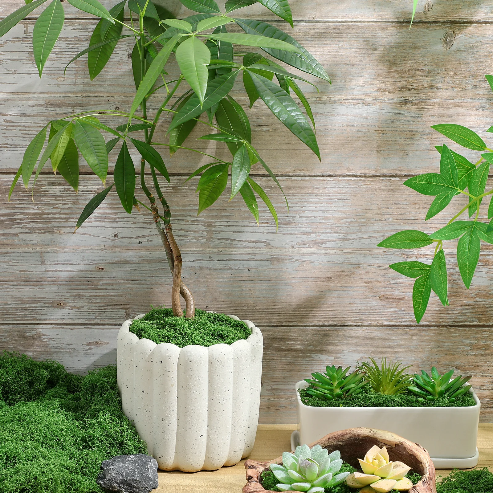 

Artificial Moss for Crafting Fake Greenery Indoor Plants Polyester Faux Realistic Terrarium Floral Simulated Moss Hanging