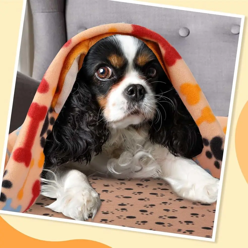 Atacado 50 cobertores de lã macia para cachorros, 24x28, designs com estampa de pata, ideais para animais de estimação pequenos e animais