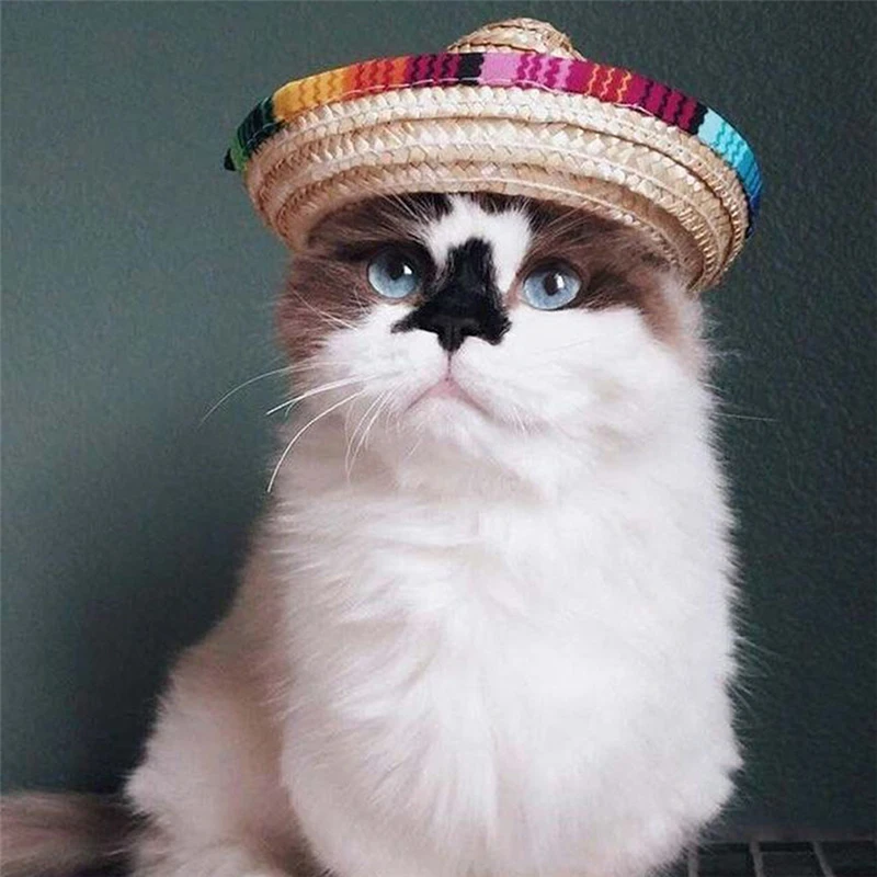 Straw Sombrero Mexican Hat Pet Adjustable Buckle Multicolor Pet Straw Small Dog Cat Hat Funny Summer Cap