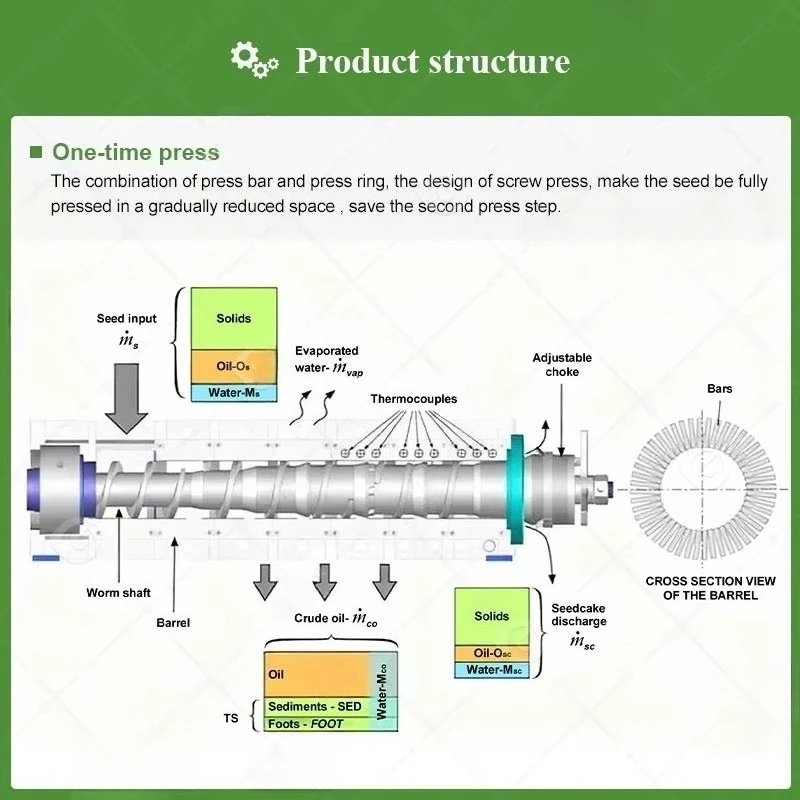 Customized 1-2t H 3T H Soybean Olive Palm Kernel Cold Oil Expelling Press Machine Oil Mill Plant