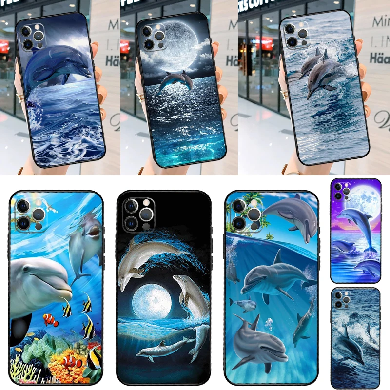 Cute Dolphin Ocean … - image