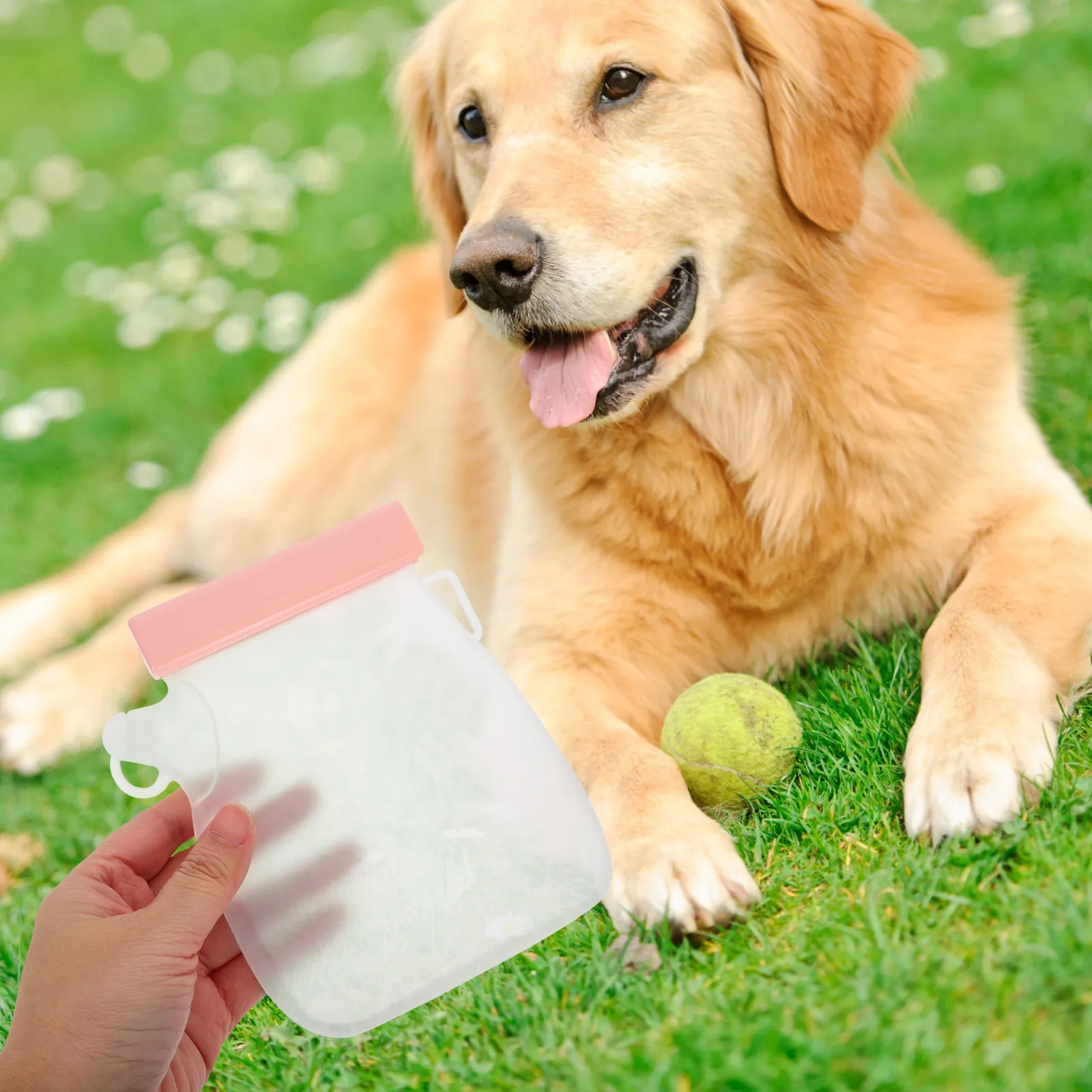 

Portable Silicone Pet Bottle Leak-Proof Large Capacity Travel Dog Water Dispenser Durable Outdoor Accessories For Dogs Beach
