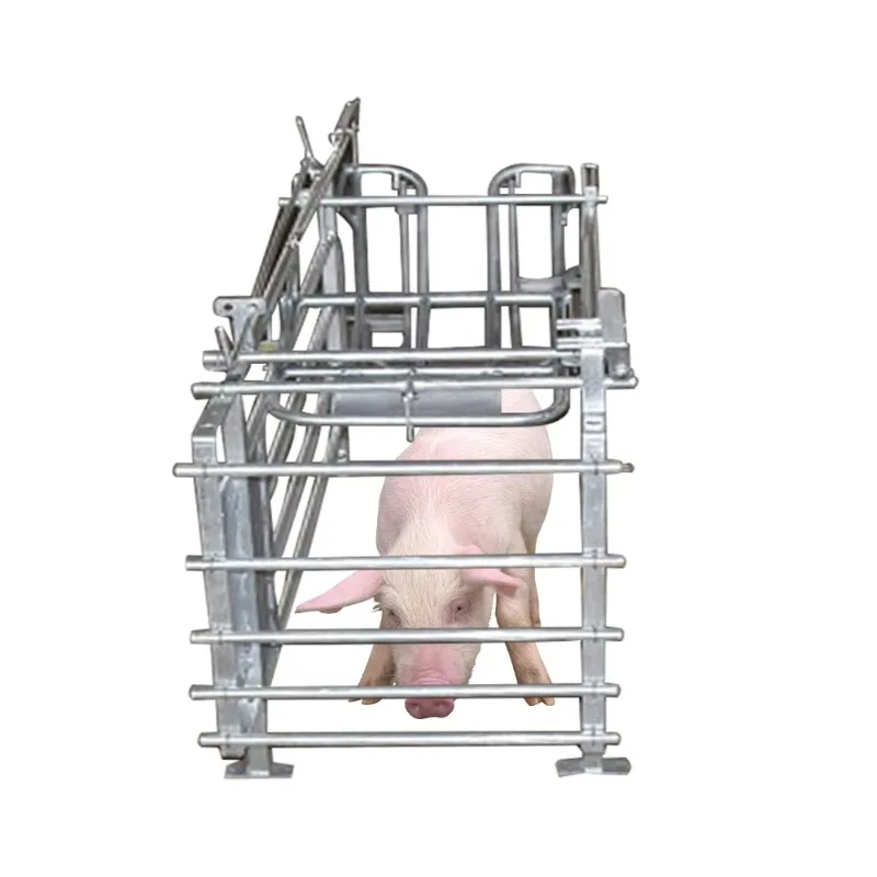 Portable Pigsty Pig Pregnancy Crate Pig Crate with Feed Tank