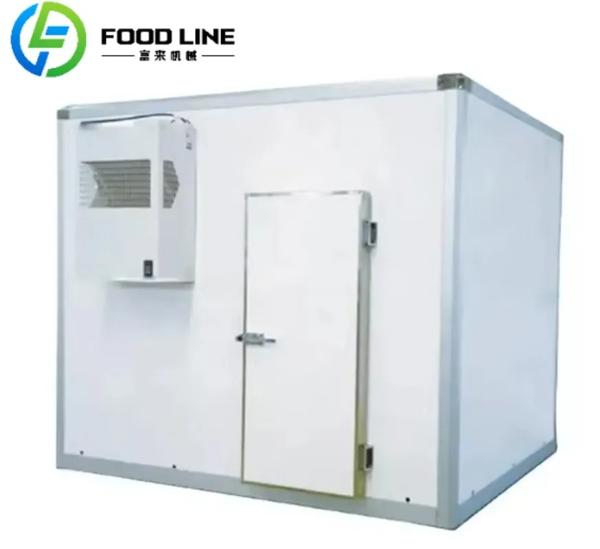 Customized Cool Room Cold Storage Refrigeration Unit Food Container Snacks Meat Freezer Cold Unit For Industrial Use
