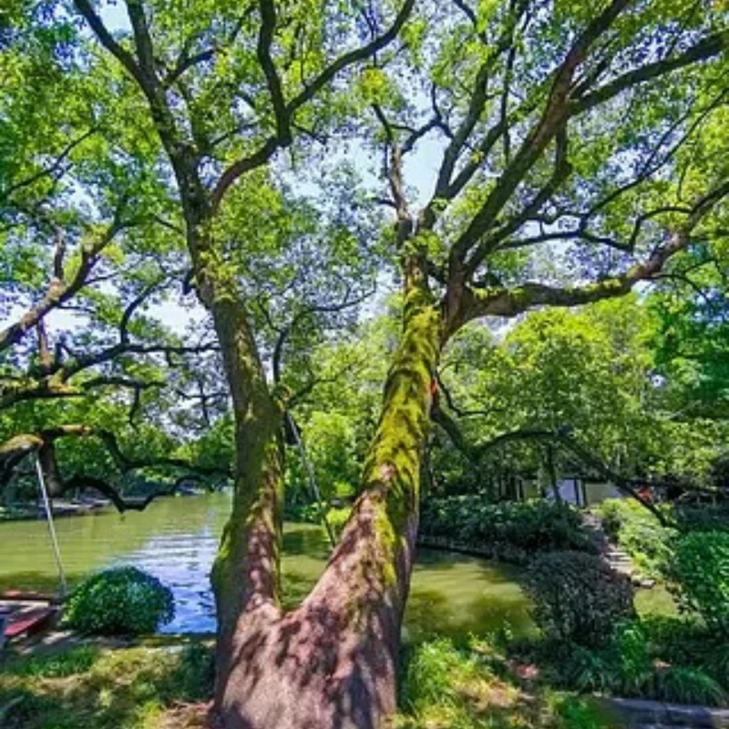 

GEPRC GEP-CT25 Детали рамы Подходит Cinebot25 S 2,5 дюйма Запасная запасная часть Литой под давлением RC DIY FPV Дрон для фристайла