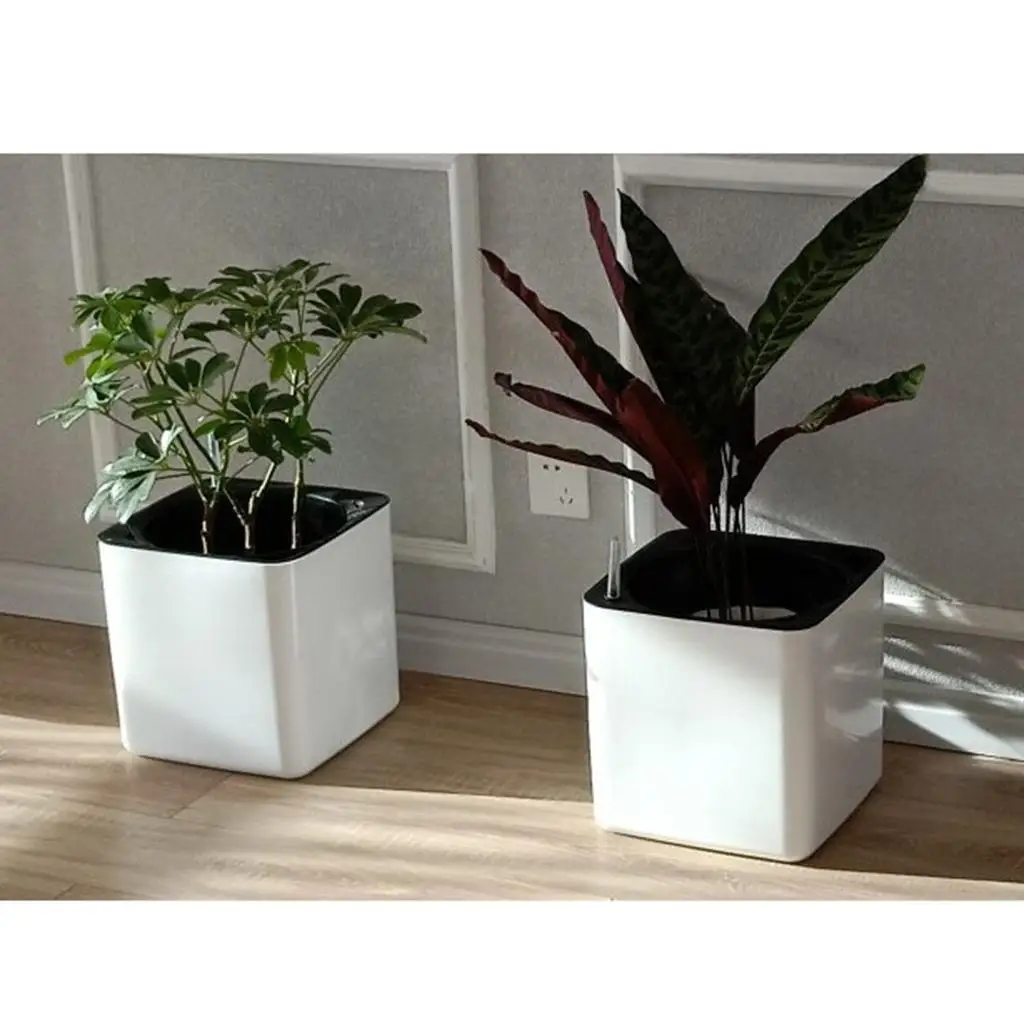 Square plastic self-watering pot with water level indicator,