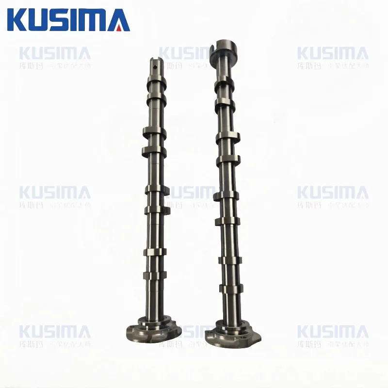 Engine Auto Parts Intake and Exhaust Camshaft for Ford Transit Custom V362 2.0T EcoBlue Diesel BK2Q6A270AA BK2Q6A273AB