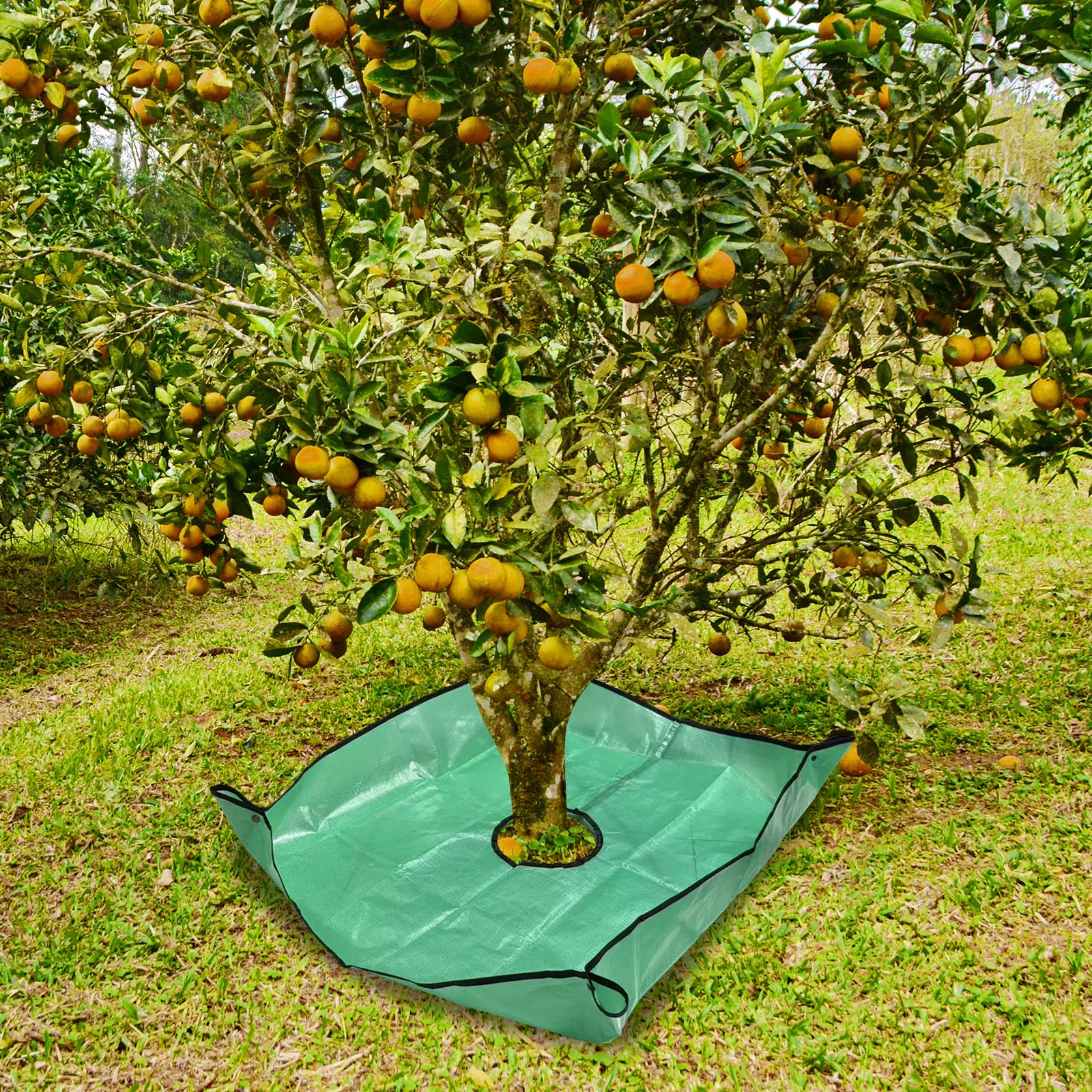Landscape Tarp with 7.9 Inch Center Hole and Four Corner Buckles Bush Trimming Tarp for Easy Fastening and Leaf Collection