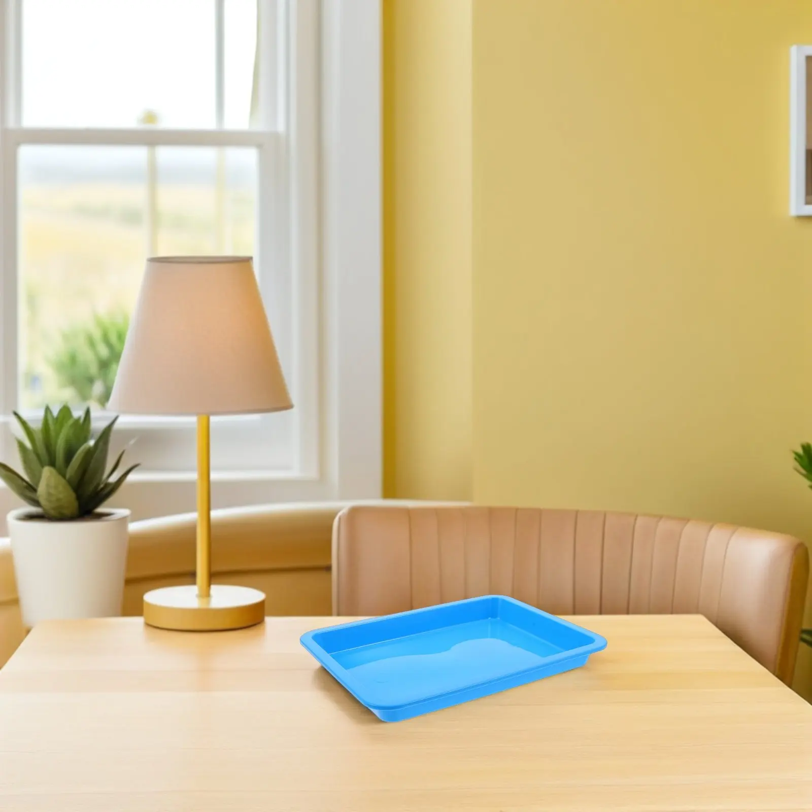 

12Pcs Science Experiment Paint Trays A5 Rectangle Plastic Art Palettes for Kids Watercolor Mixing Reusable Craft Painting Colour