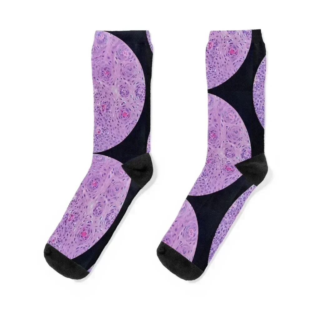 Skin histology, tangential, dysplastic, 200x H&E Socks FASHION bright garter Socks For Girls Men's