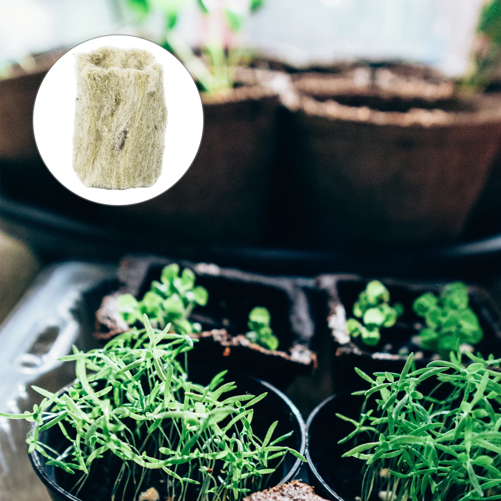 

20 Pcs Wool Soilless Cultivation Plug for Seed Sprouting Soilless Cultivation Hydroponic Wool Gardening Planting Seedling Pot