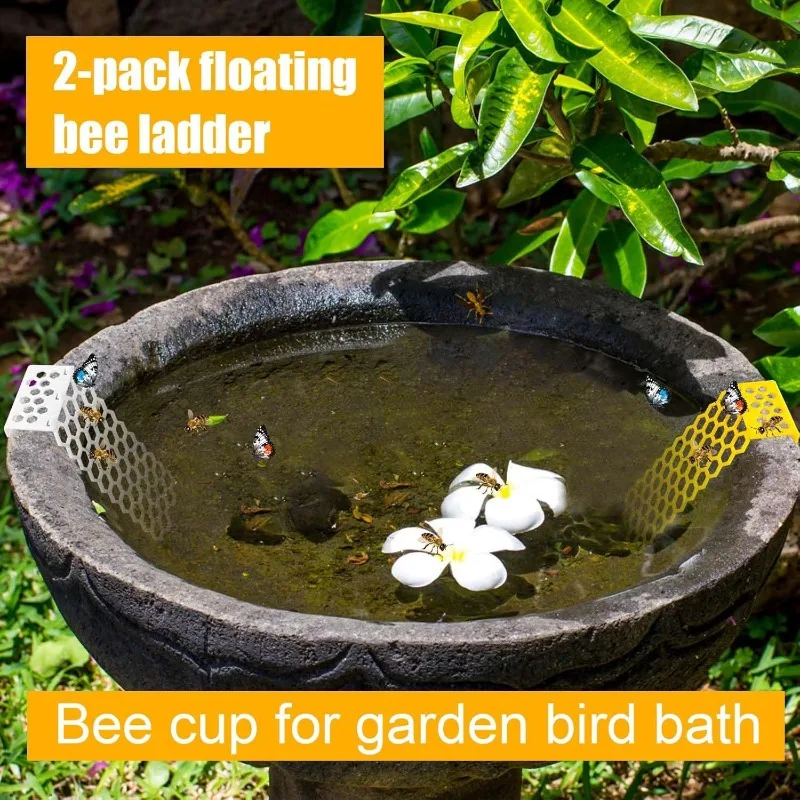 Bees, Insects, Drinking Water, Bees, Ladders, Insects, Floating Bees, Ladders