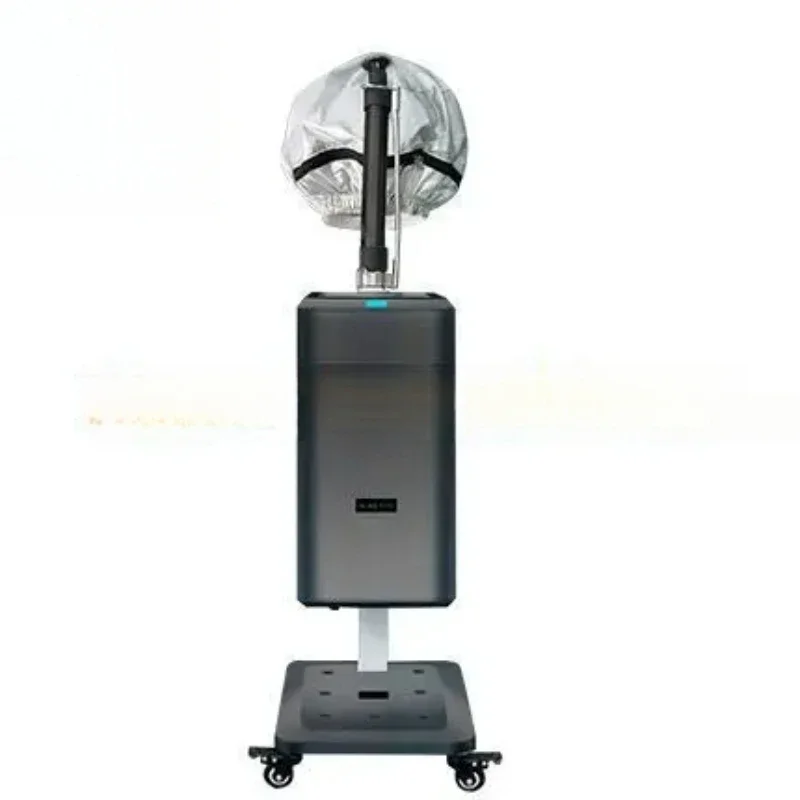 Top Professional Cap Bonnet Ionic Micro Mist Micromist Hair Salon Steamer With Hari SPA Care Treatment